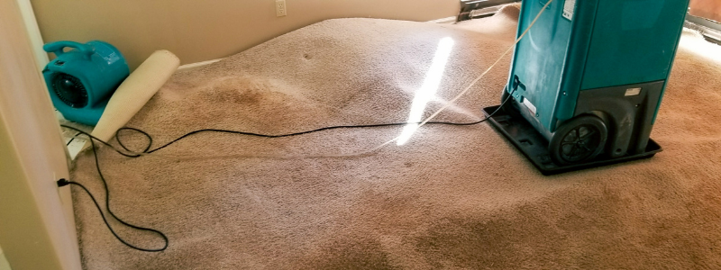 water damage remediation services