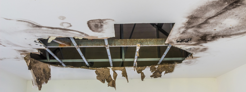 diy water damage repair