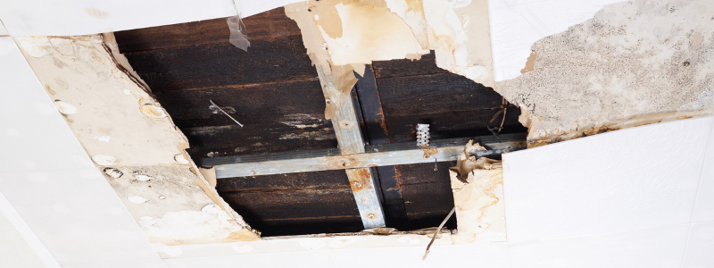 diy water damage repairs