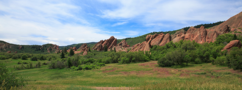 fire damage repair roxborough park